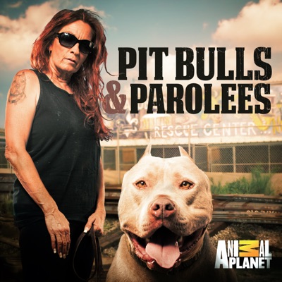 Télécharger Pit Bulls and Parolees, Season 10