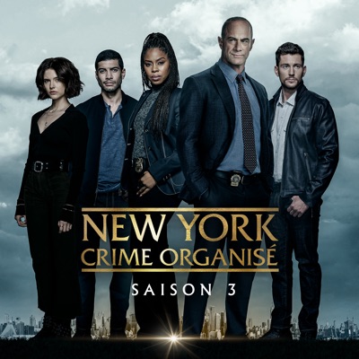 Télécharger New York: Crime Organisé, Saison 3 (VF)