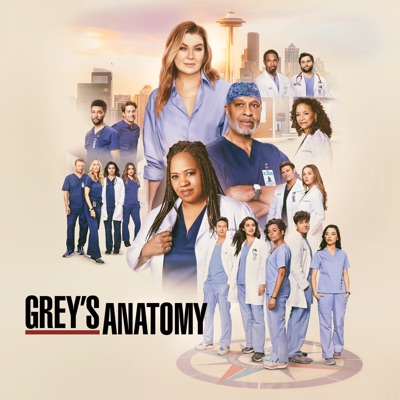 Télécharger Grey's Anatomy, Saison 21 (VOST)