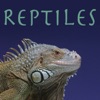 Télécharger Reptiles