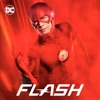 Télécharger The Flash (Reboot), Saison 3 (VF)