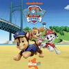 Télécharger PAW Patrol, Vol. 22