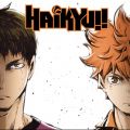 Télécharger Haikyu!!, Season 3